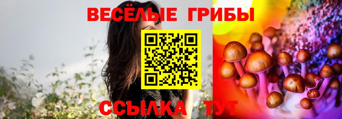 Псилоцибиновые грибы мухоморы  Вход с VPN  Галлюциногенные грибы прущие грибы  Орехово-Зуево 